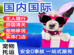 宁远航空快运国际宠物托运 【国